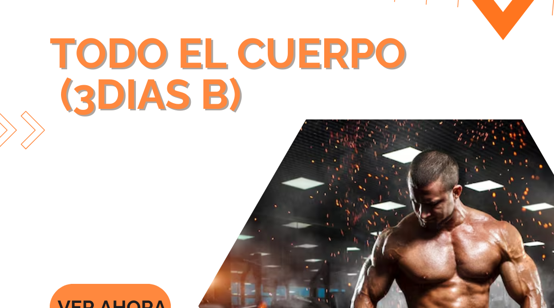 Todo el cuerpo (3dias B)