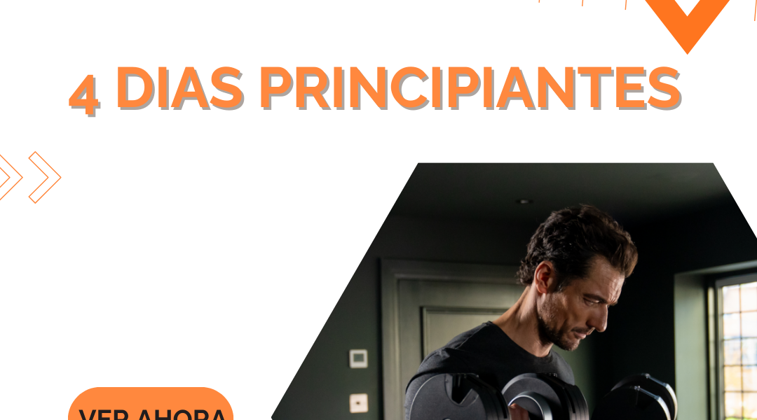 4 Dias principiantes