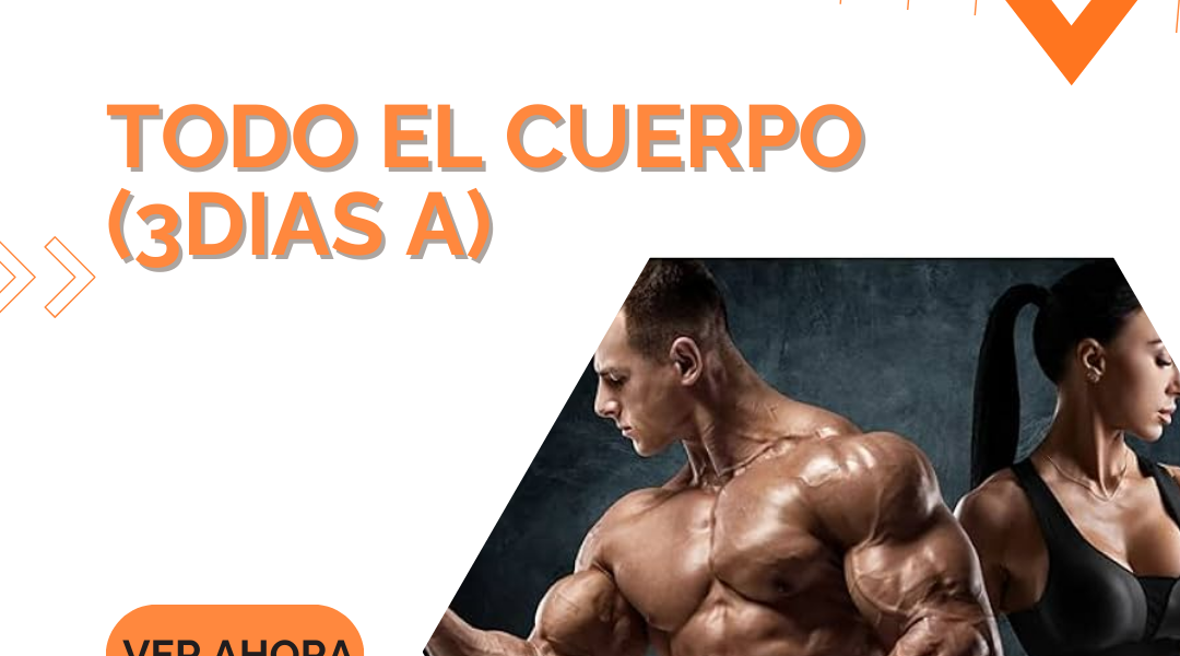 Todo el cuerpo (3dias A)