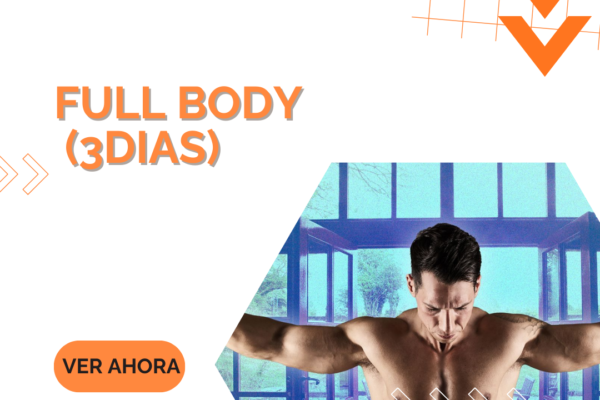 Full Body (3dias)